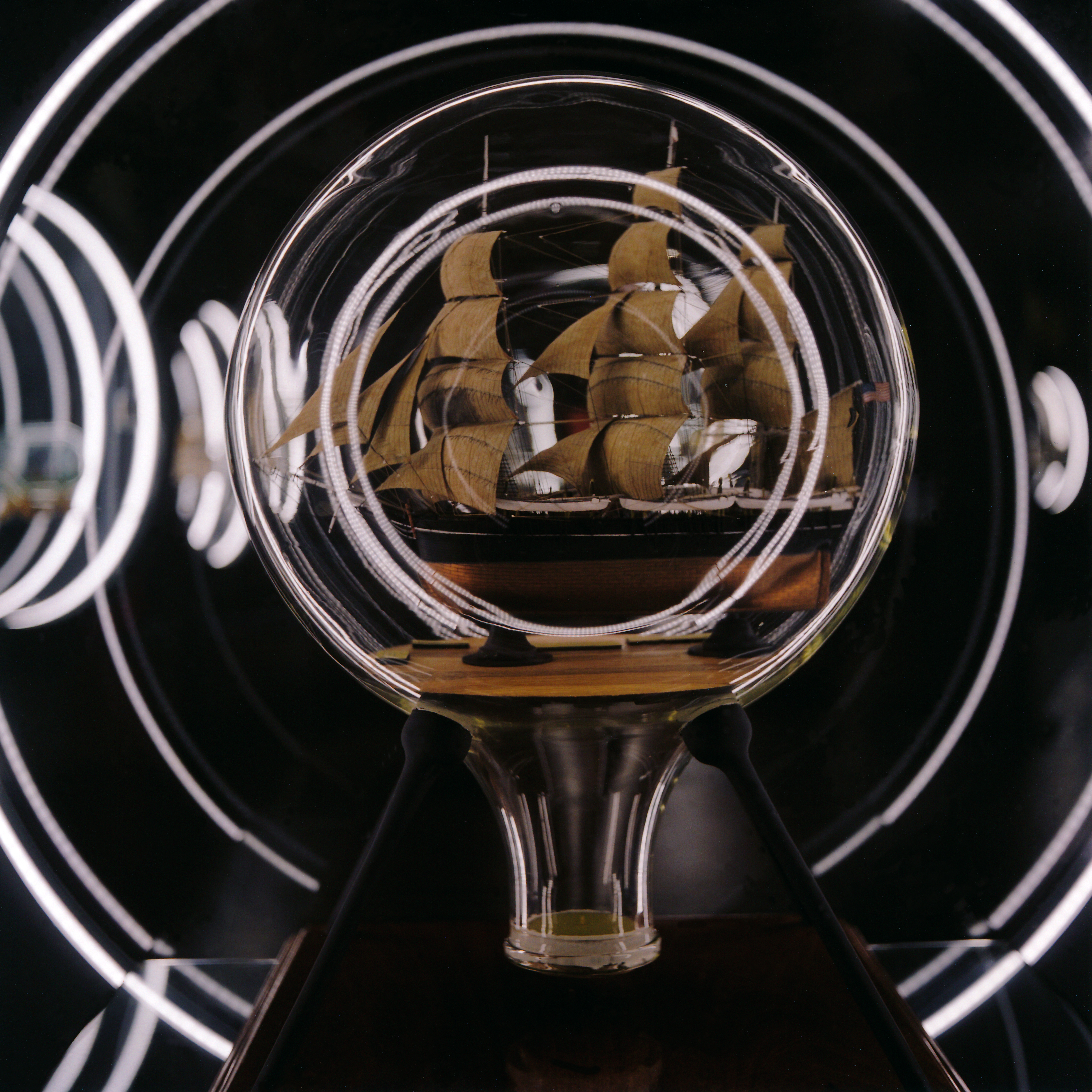 Timeless Captures: The Artistic Vision of Nicole Woischwill