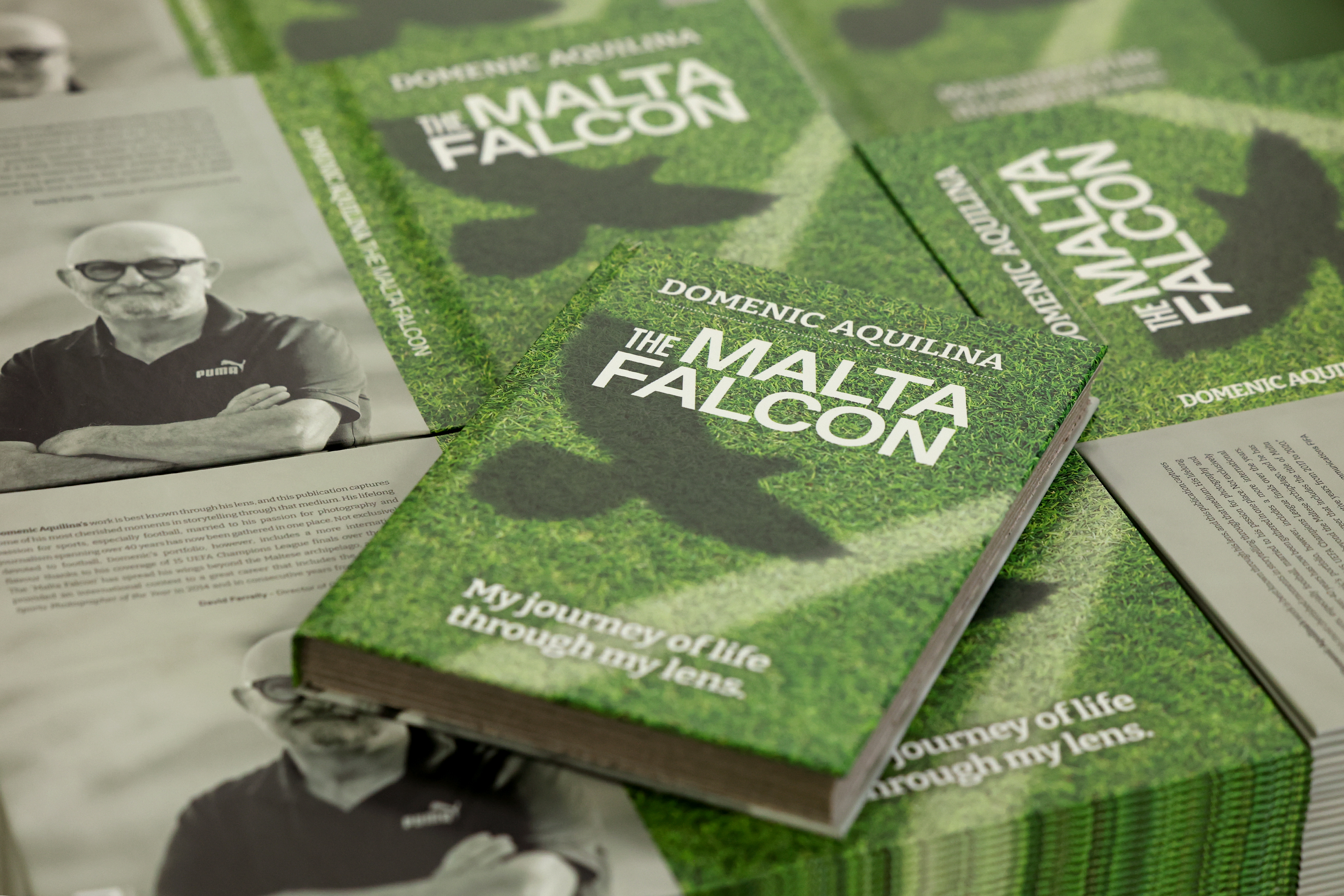 Sports and Storytelling: An Interview with Domenic Aquilina