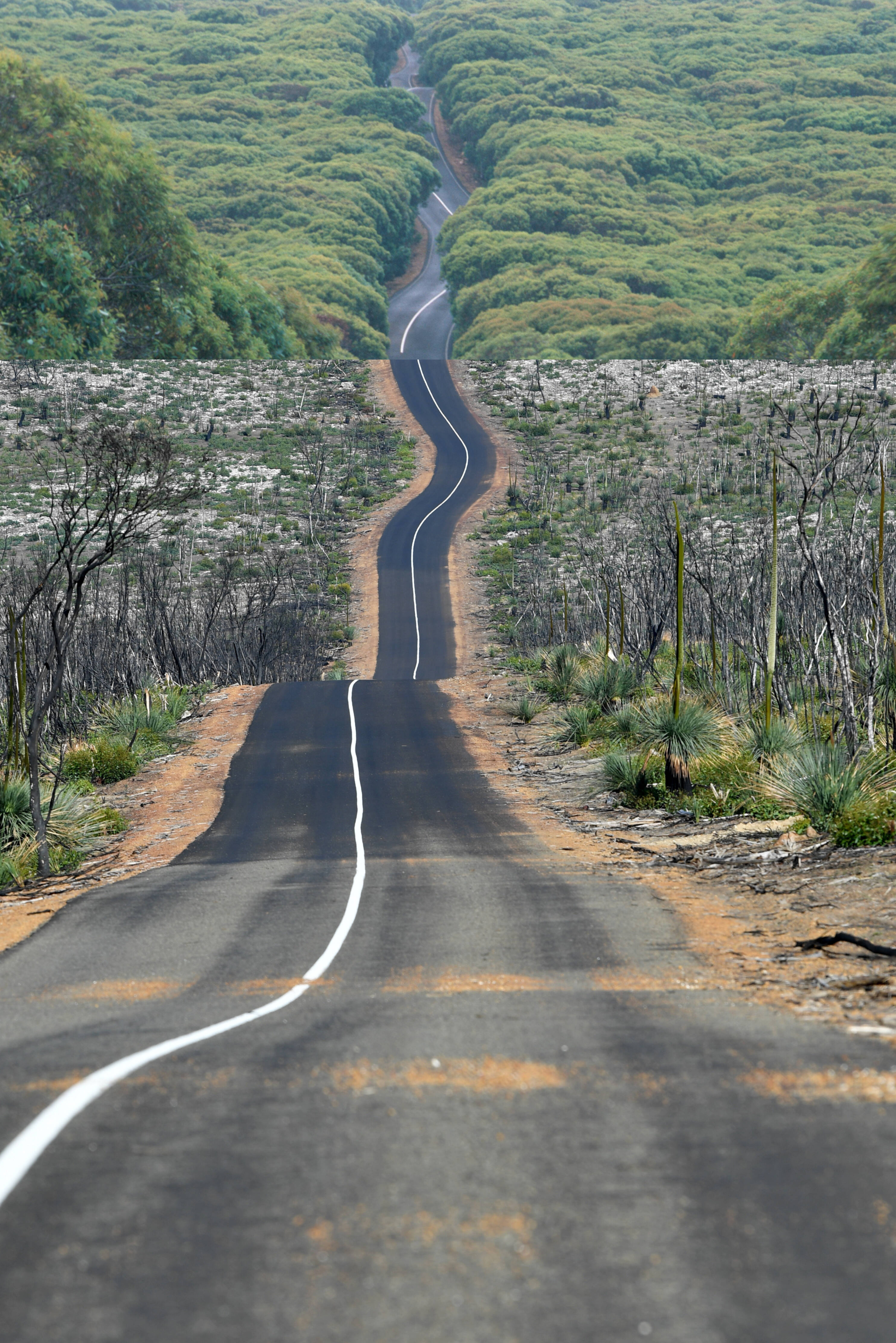 Capturing the Impact: Images of Climate Change and Human Activities