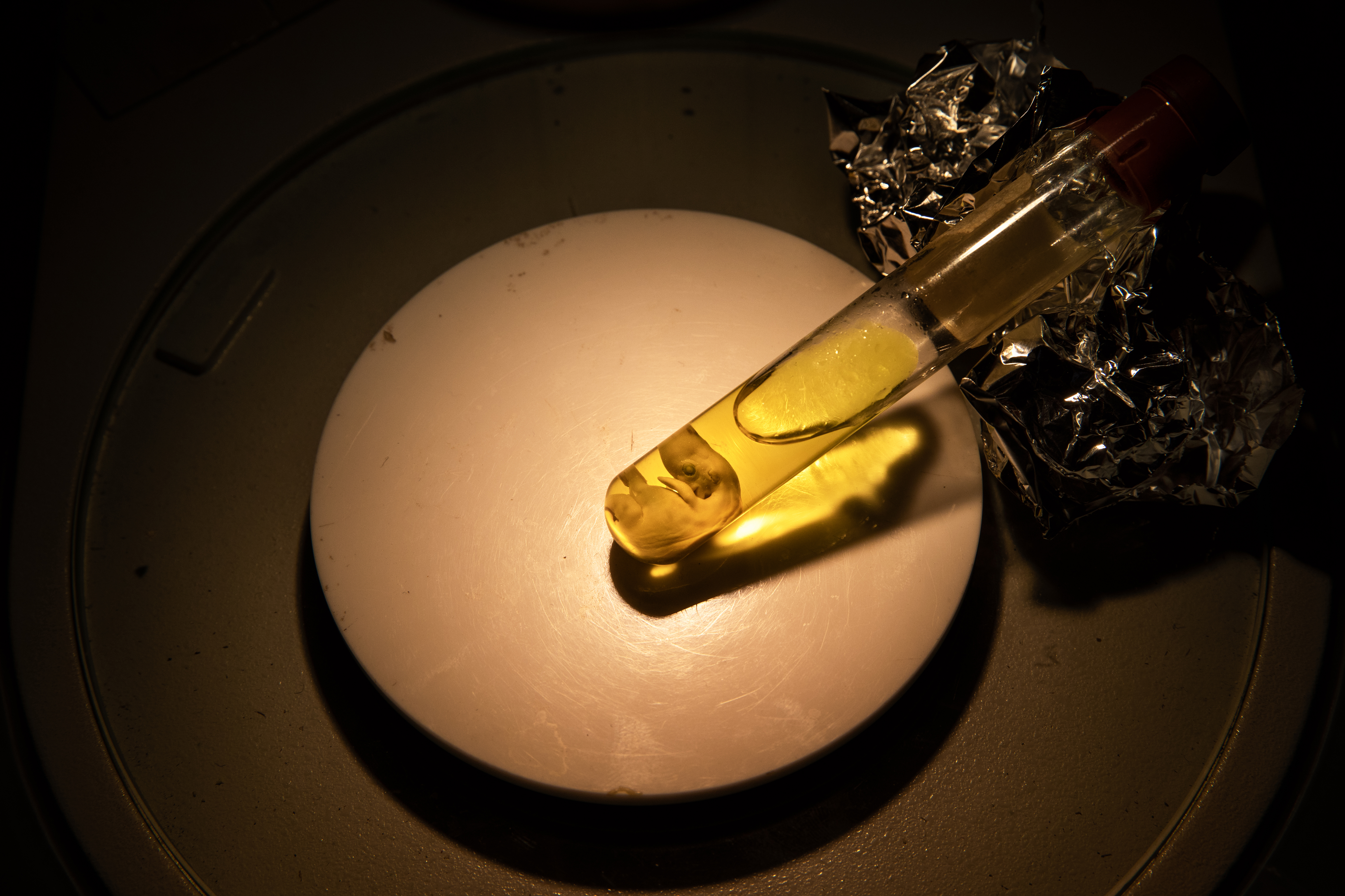 Berlin Dialogues: 20 Years of World Press Photo Contest in Berlin