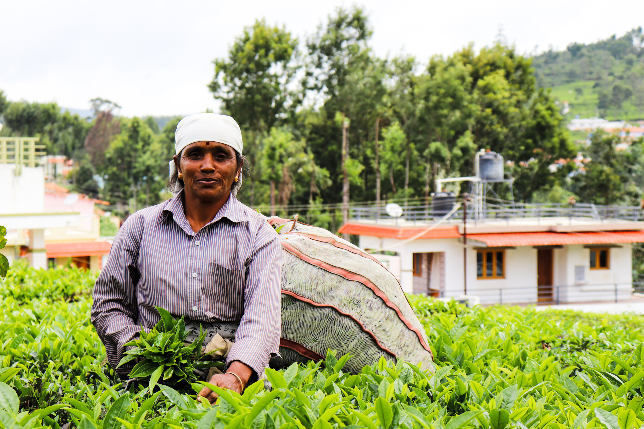 Rekha Damodaran & David Aaron: IMAGO Photography Scholarship Shortlist.