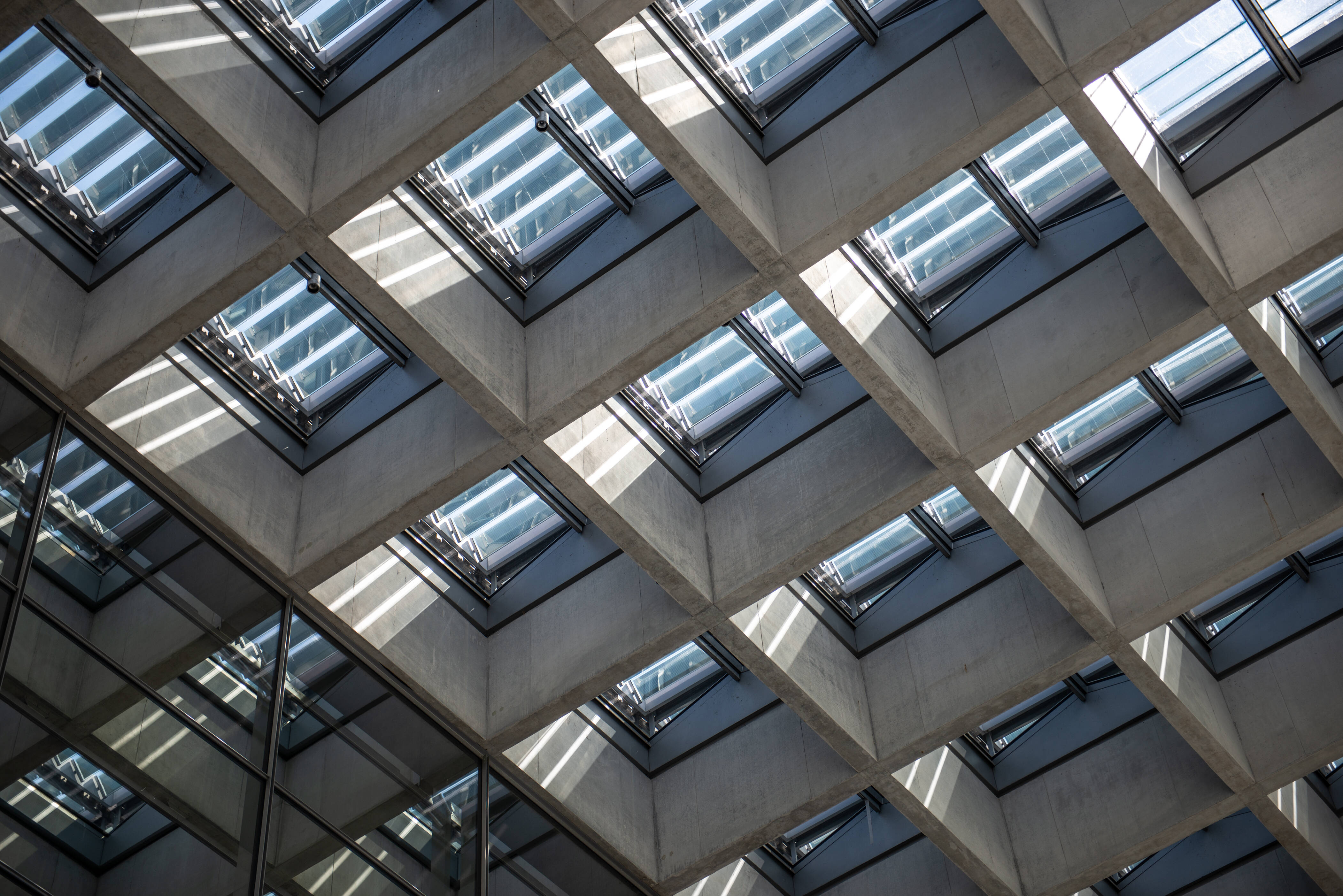 imago images/F. Anthea Schaap