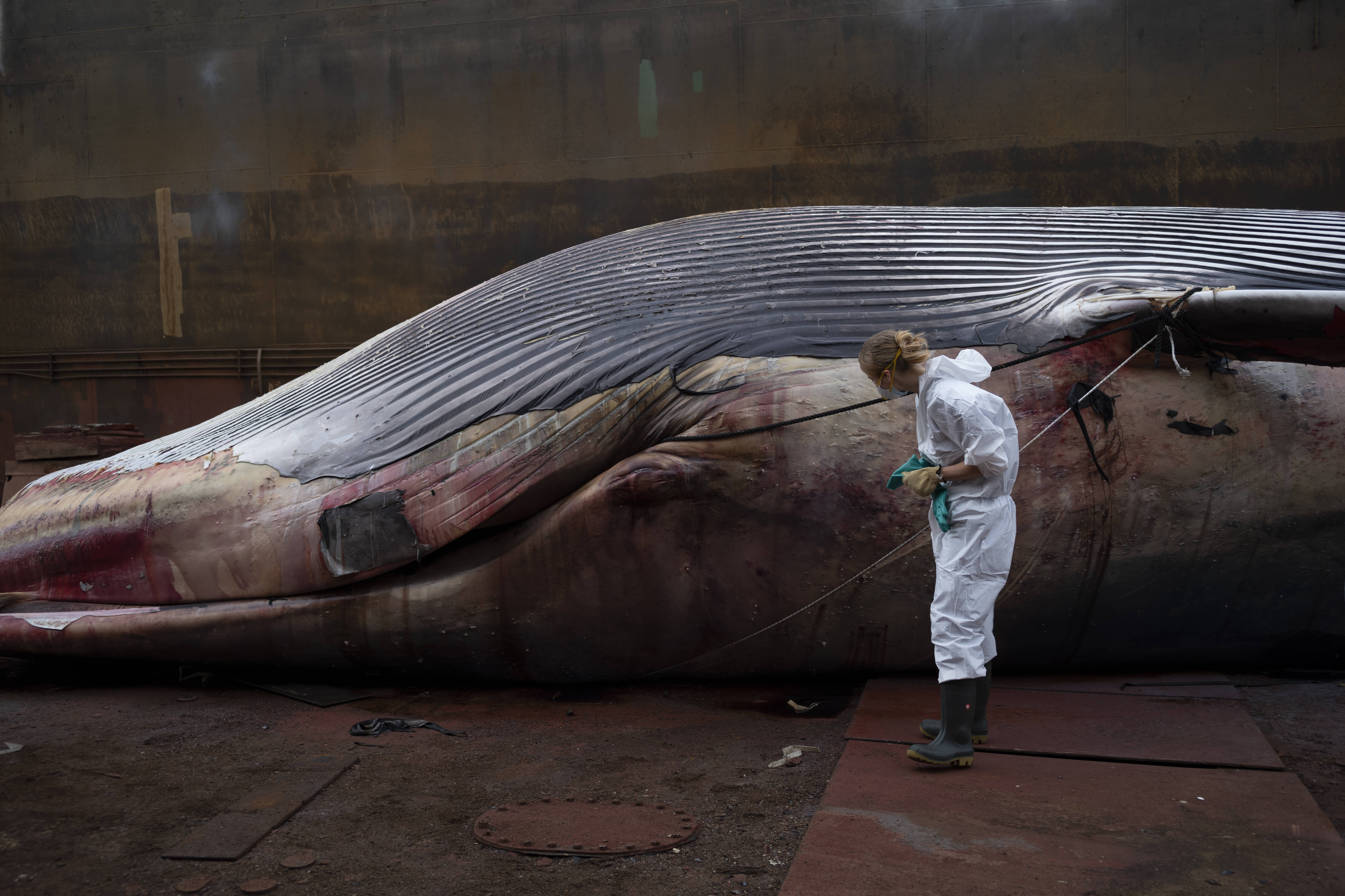 IMAGO / Pacific Press Agency