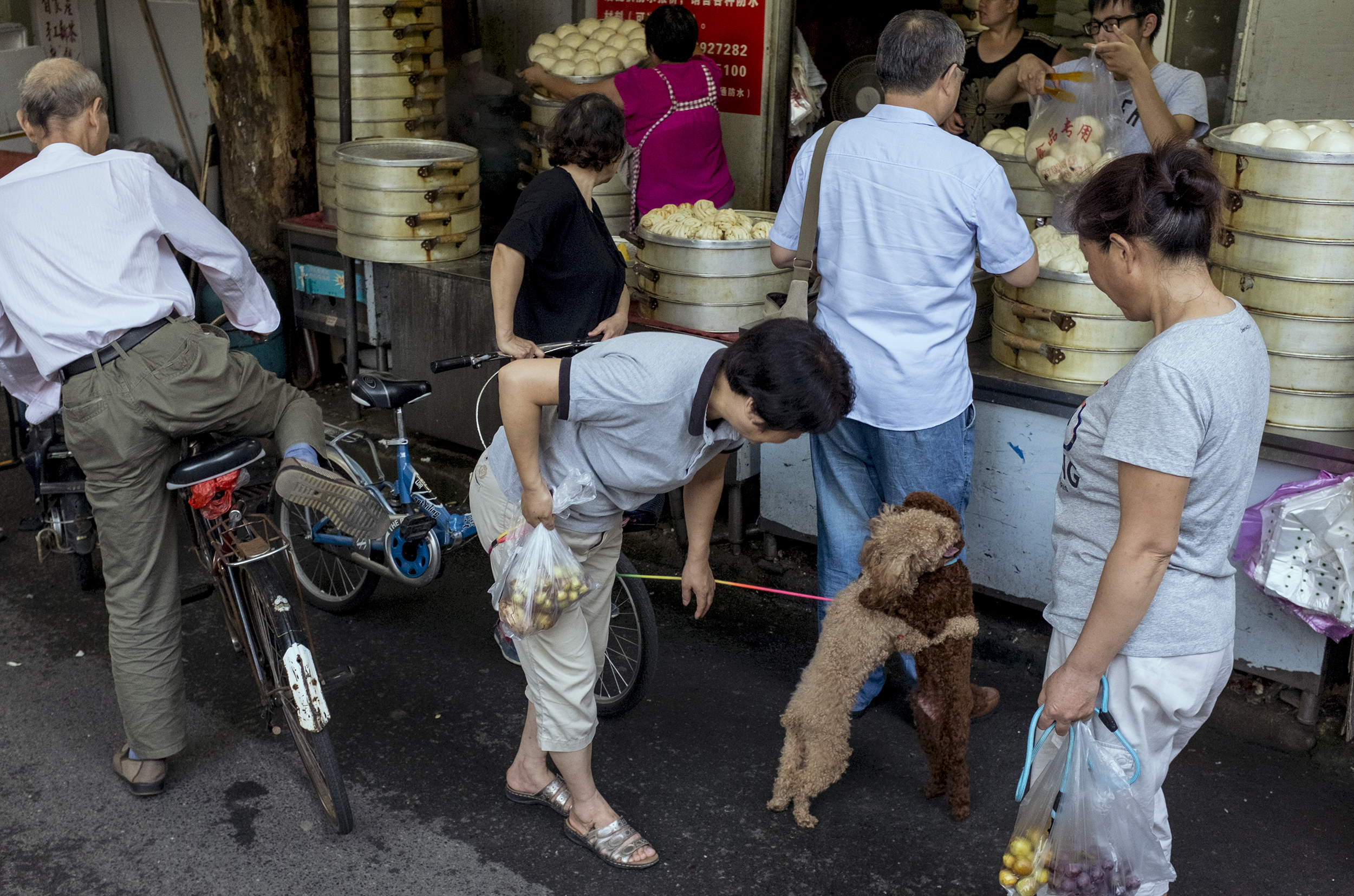 Photography by Liu Tao