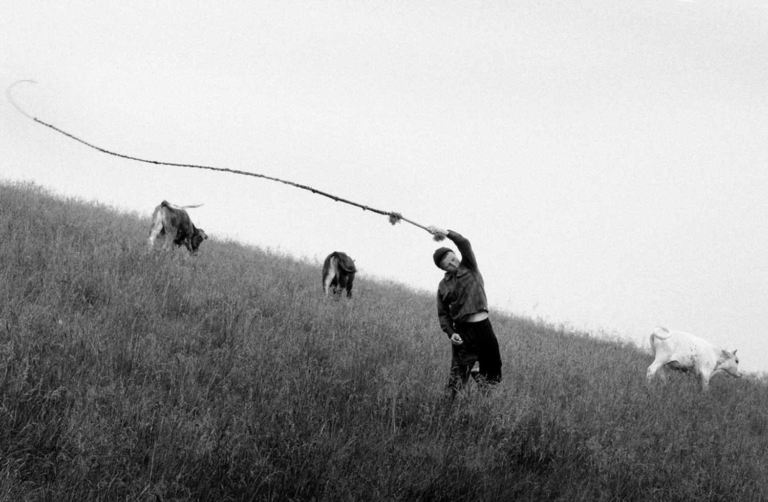Ukrainian photographers