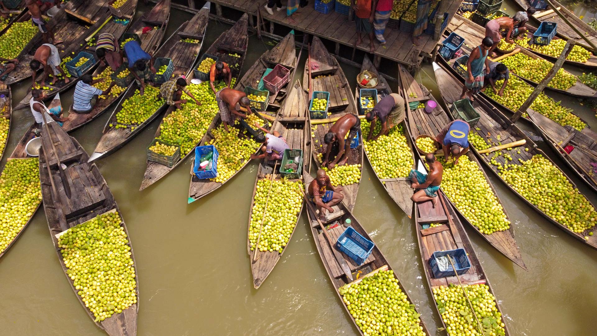 Above and Beyond: Aerial Photography and Human Stories with Joy Saha