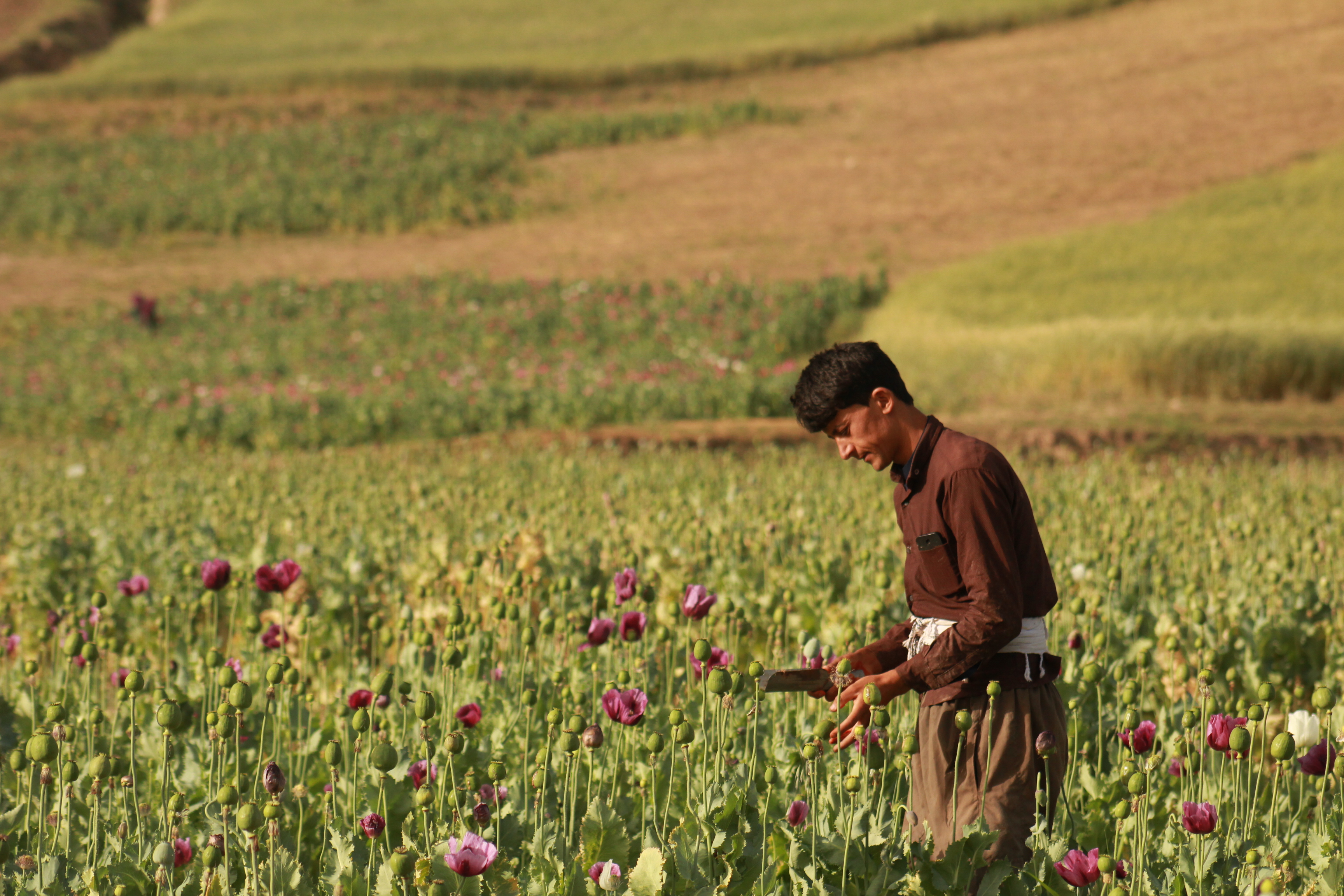 Photography by Sharif Shayeq