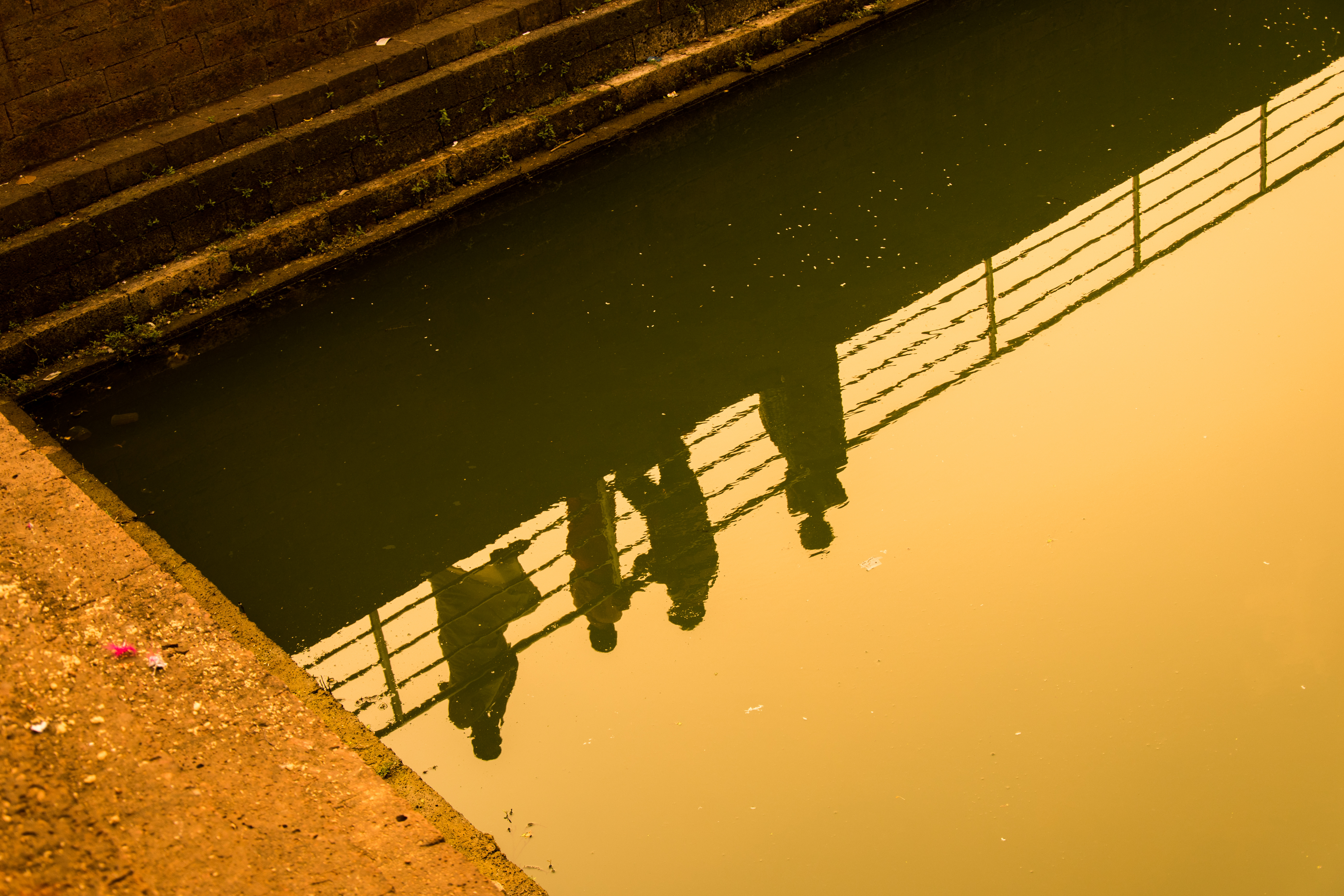 Emerge through Social Media: A Look into the World of Photography