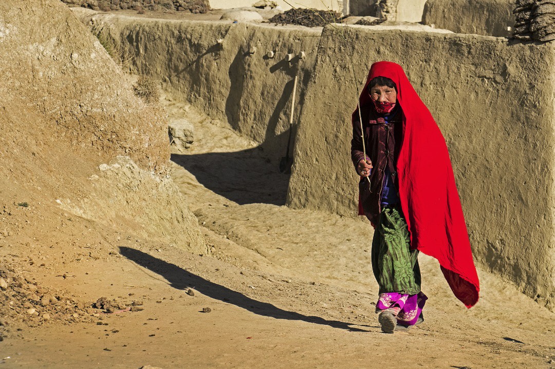 Nilofar Niekpor Zamani