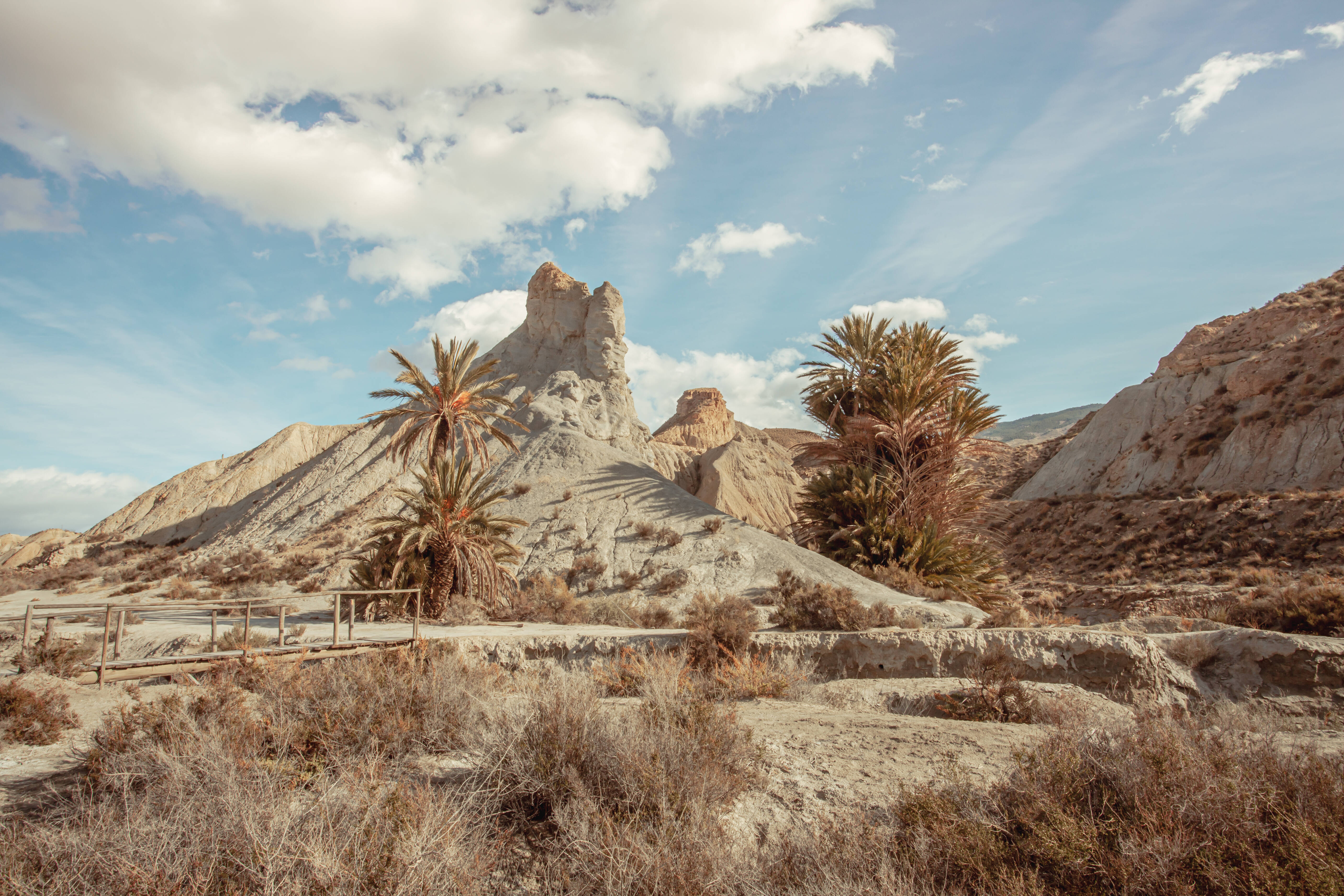 IMAGO / Alice Dias Didszoleit