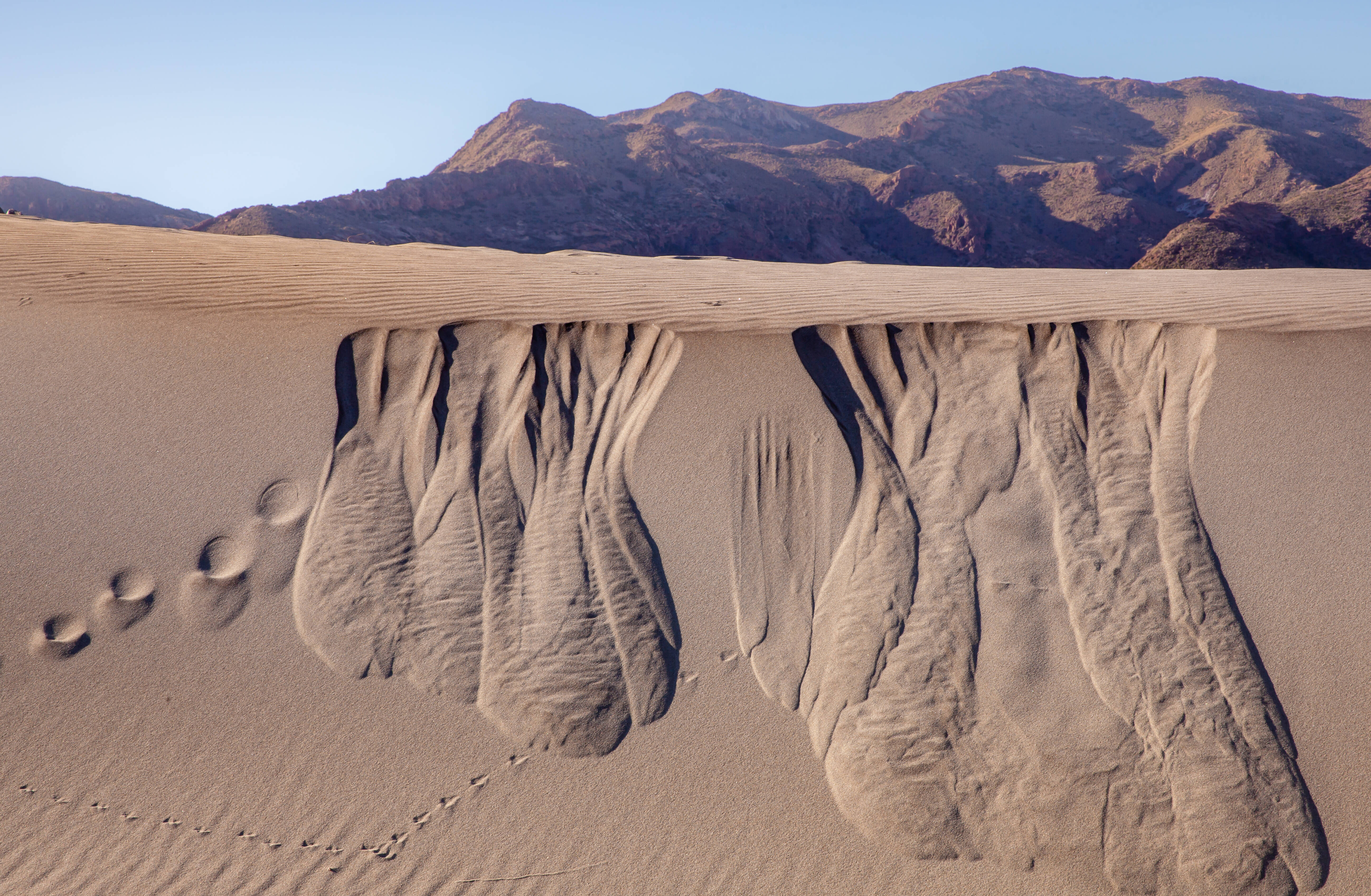 IMAGO / Alice Dias Didszoleit