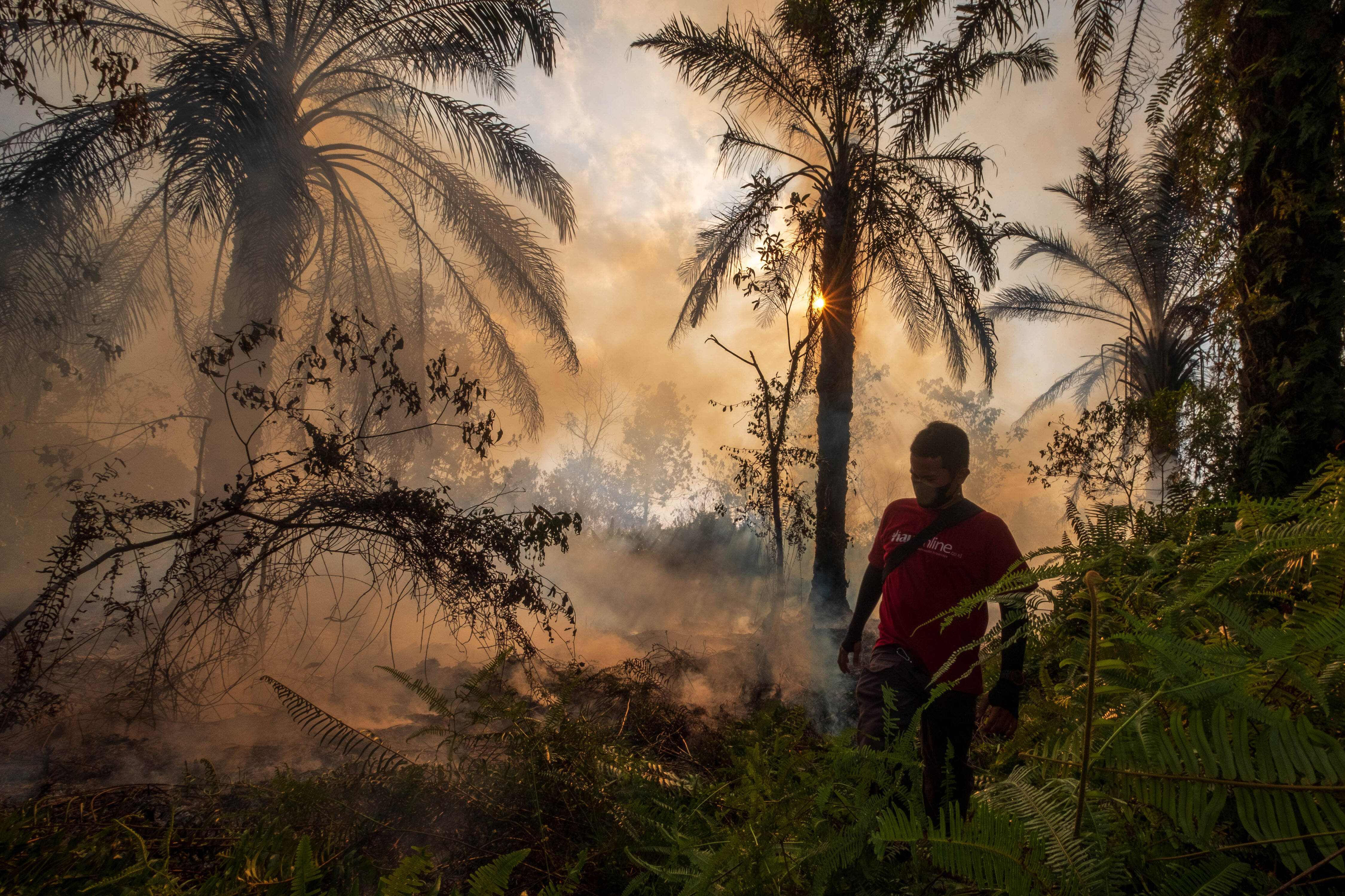 IMAGO/ZUMA Wire