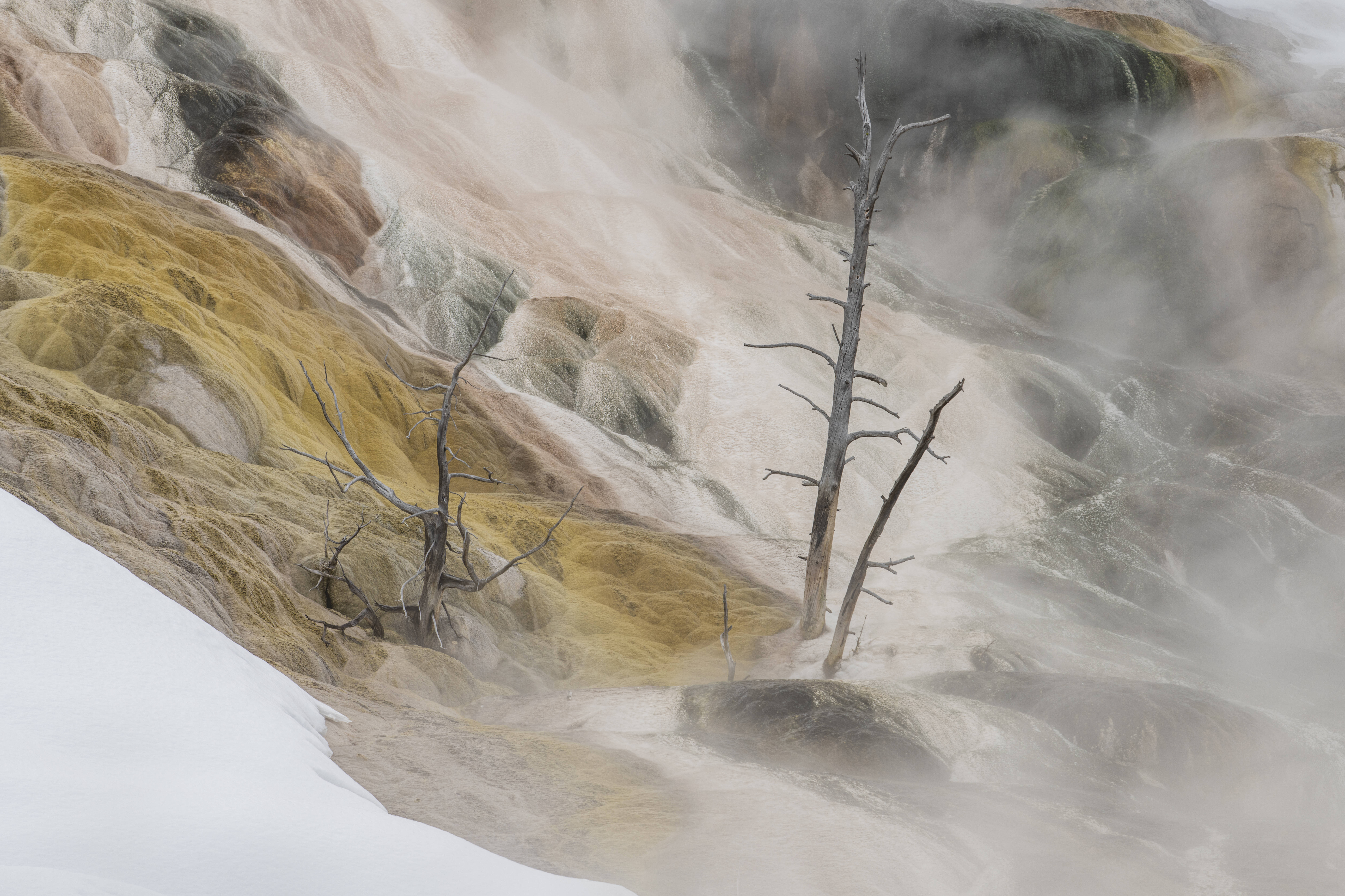 IMAGO/Christian Heeb