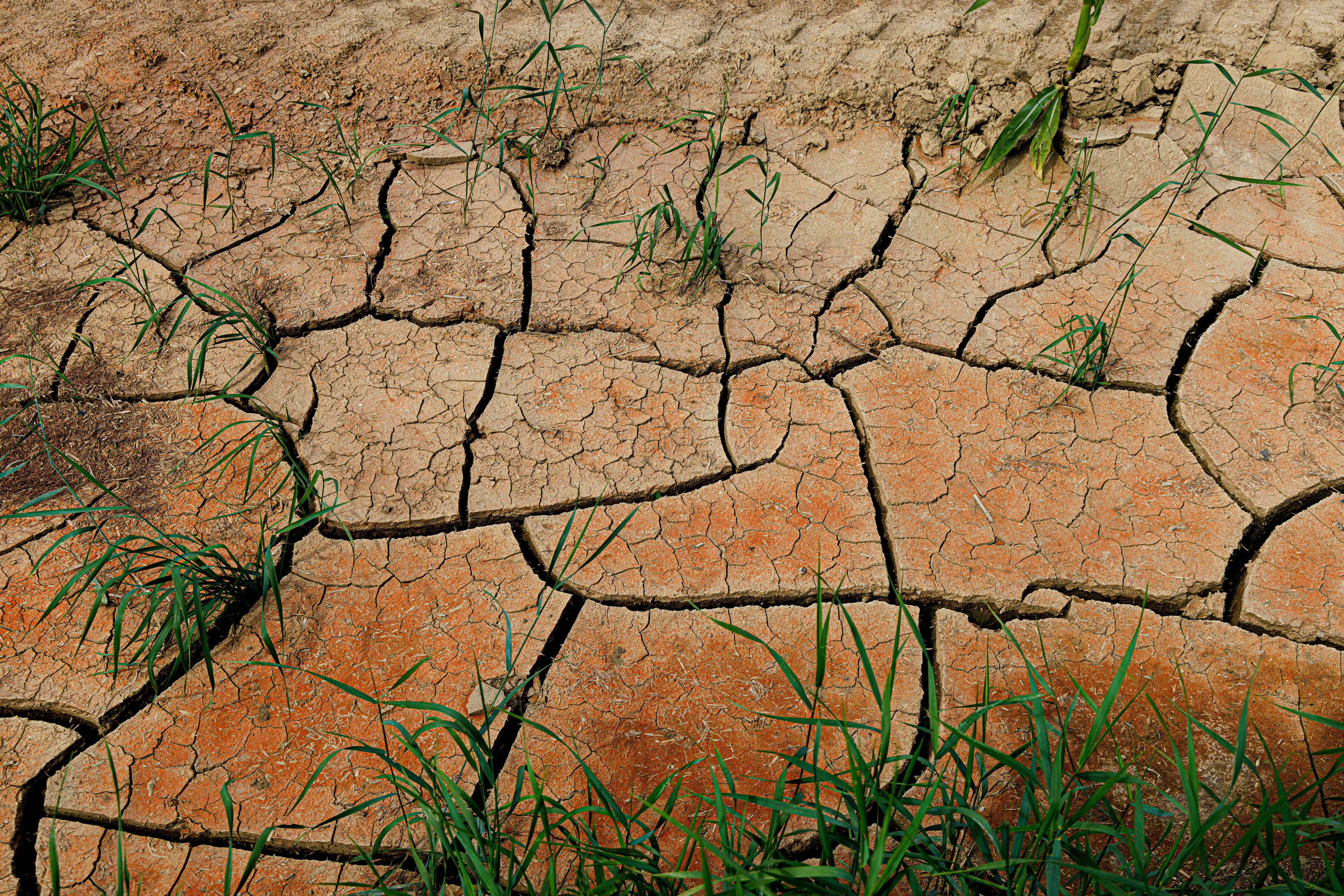 climate change in 2022
