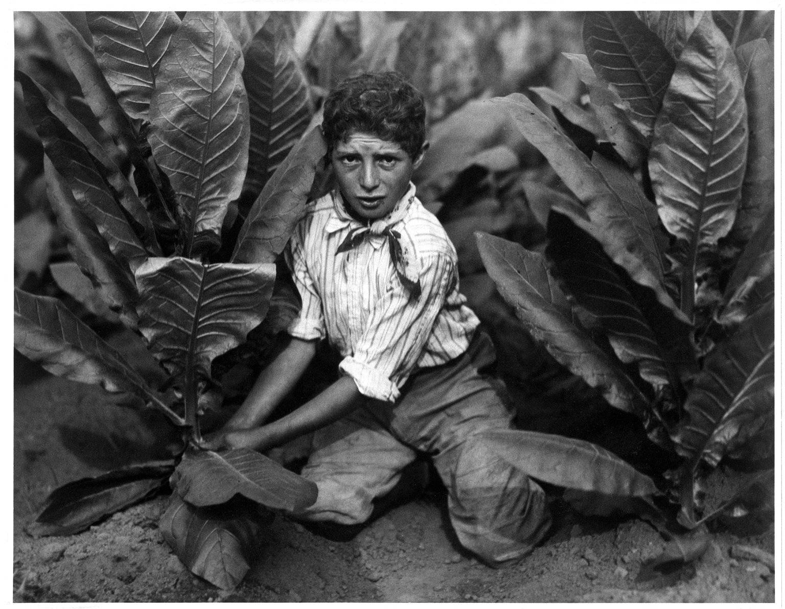 Child Labor photos Lewis Hine 