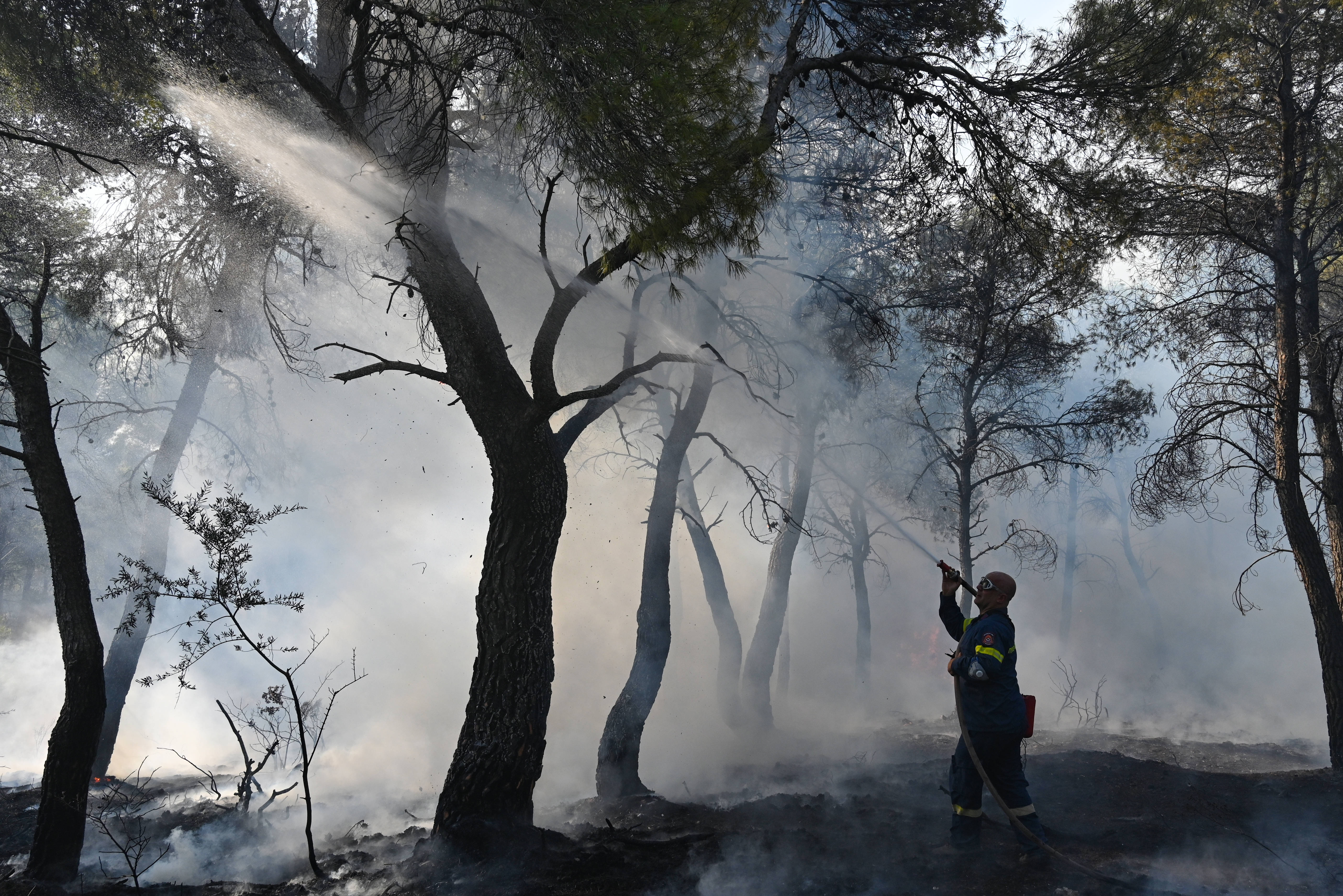 Wildfires in 2023