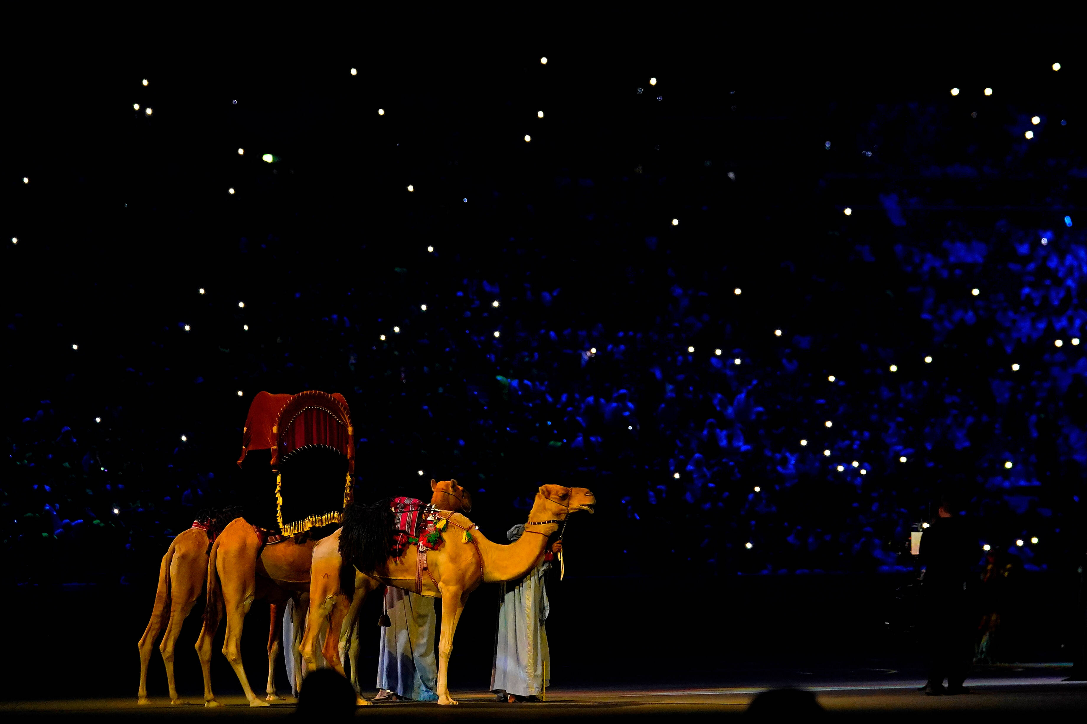 IMAGO/USA TODAY Network